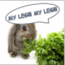 Lord Lettuce