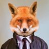 FoxPurple