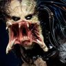 Predalien1247