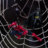 TheSpiderBat