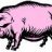 pigtowndandy