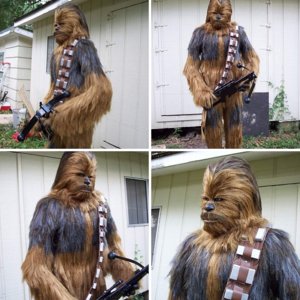 Chewbacca Statue