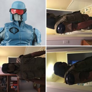 Cobra Project