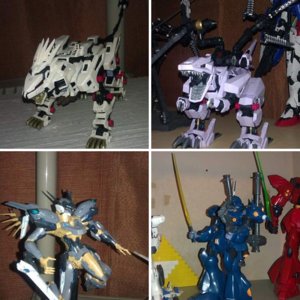Models