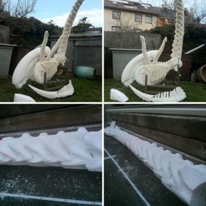project xenomorph