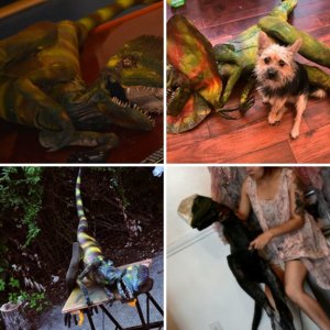 jurassic park / world stuff