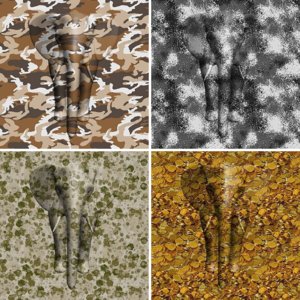 Surface Decoration Patterns