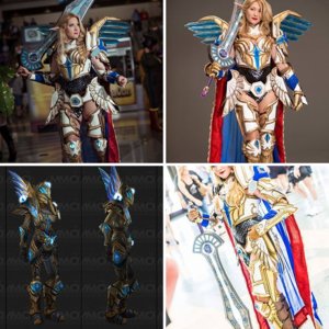 World of Warcraft Challenge Mode: Gold - Paladin Set