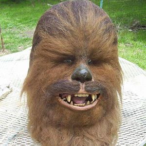 Chewie head in current state, Mask by Alan Stacy 1982