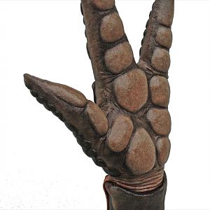 prawn glove 09