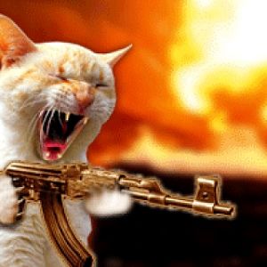 machine gun cat1