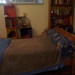 bed and bookshelves