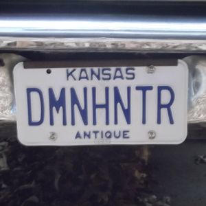 My License Plate 2