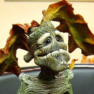 bowtruckle close up
