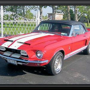 Shelby American GT 350