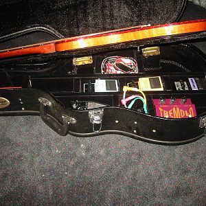 DESPERADO Guitar case