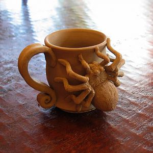 My new mug I made. This spider got on it and won't get off!
Unfired wet clay.