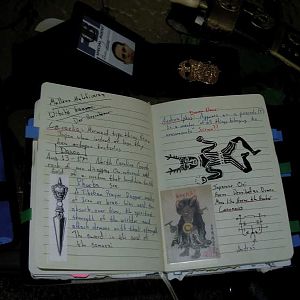 Journal Page 1