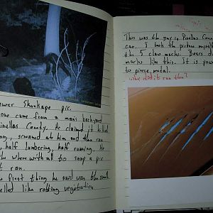 Journal Page 4