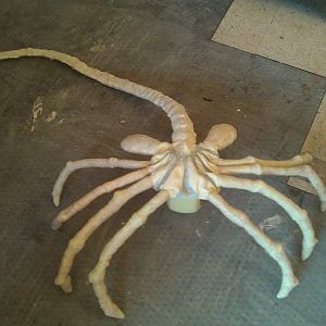 Latex facehugger