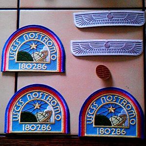 Wings, patches and pin.