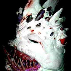 Animatronic Piranha head