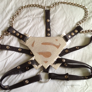 Superman Harness 1