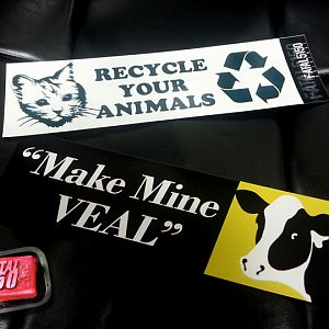 Mayhem Bumperstickers