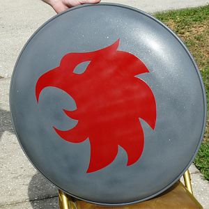 Hawk Fury Shield