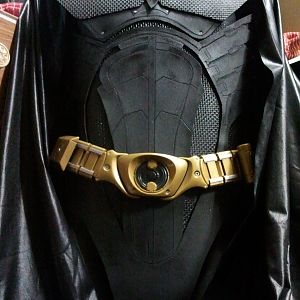 Batman Begins Torso