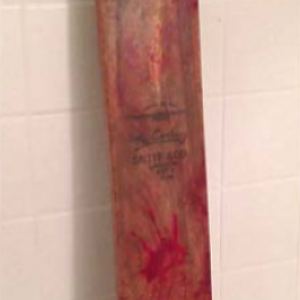 Shaun of the Dead cricket bat