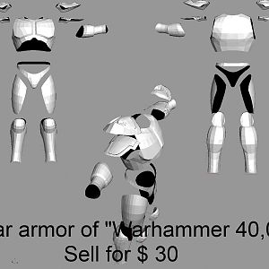 Eldar armor of "Warhammer 40000"
Sell for $ 30