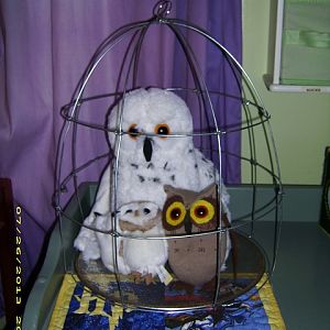 wire birdcage made from coat hangers