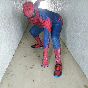 Your Friendly Neighborhood, Spiderman!