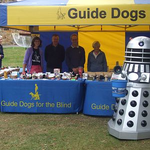 Guide dog 2011. 2