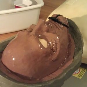 making the plaster mold