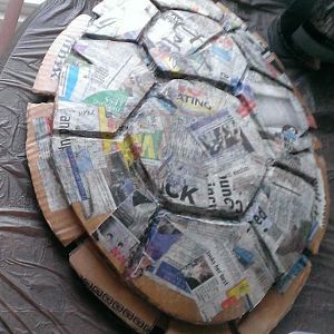 Cover the entire body with newspaper pieces and a 2:1 pva:water mix and let that dry overnight.