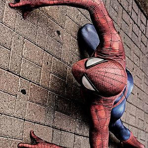 Wall Crawler!

Photo Credit: C.Baker