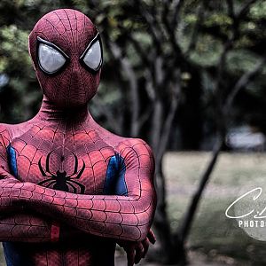 Ultimate Spider-Man

Photo Credit: C.Baker