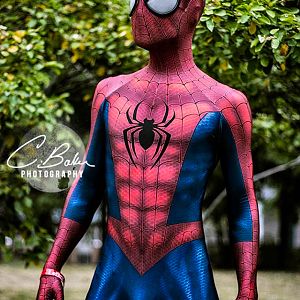 Ultimate Spider-Man

Photo Credit: C.Baker