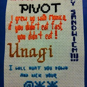 This was stitched for my brother. We are both into Friends...and these quotes are all from Ross throughout the series. And yes I guess you could say I