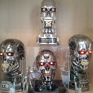 Terminator endoskulls