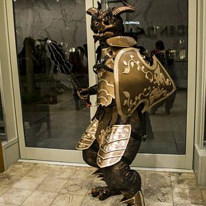 My Draconian Costume form AB14 (anime Boston 2014).  Only two people in all the places I've been with this guy knew I was supposed to be a Draconian f