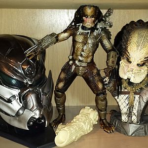 Predator collection