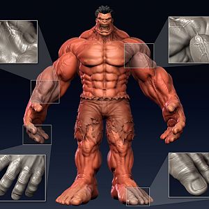 Hulk Anatomy Front