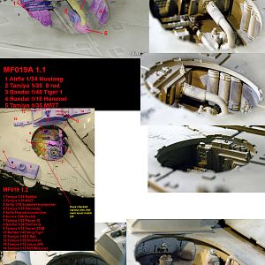 5ft Falcon Mandible Pits