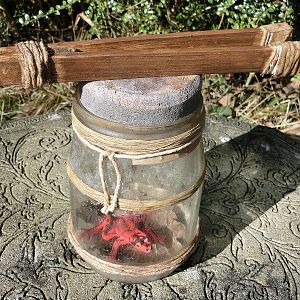 Hector Barbossa s collecting Jar prop