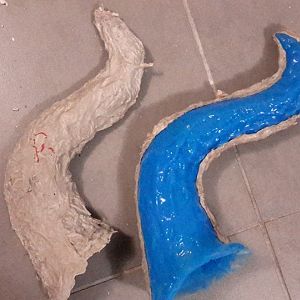 A picture of the mould created for the horn (right).