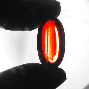 You take the red pill - you stay in Wonderland and I show you how deep the rabbit-hole goes.