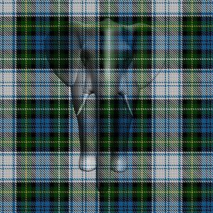 Campbell Tartan.jpg